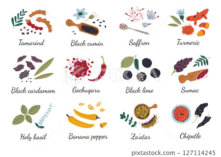 Flat cartoon set of exotic spices and herbs for cooking and seasoning. Culinary ingredients vector illustrations from different cultures, food preparation, kitchen use, traditional cuisine icons 127114245