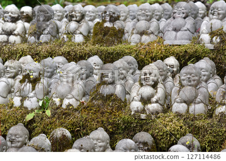 Scenery of Imakumano Kannonji Temple, the 15th sacred site of the Western Provinces 127114486