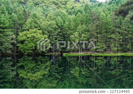 Mysterious Mishaka Pond 127114495