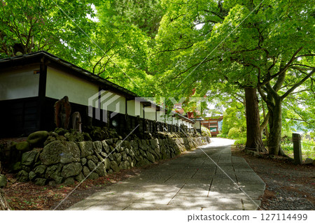 入口採用新鮮綠色包裹的方式 127114499