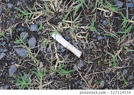 Cigarette butt 127114534