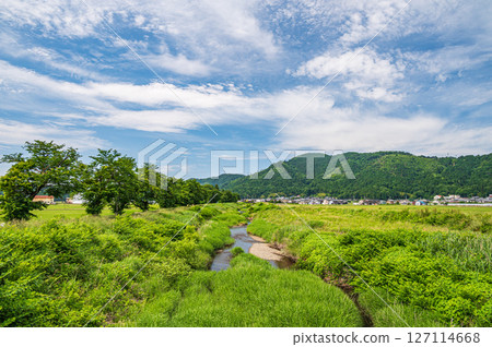 Yogo River, a river flowing through the countryside of Kinomoto Town, Nagahama City, Shiga Prefecture 127114668