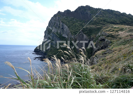Seongsan Ilchulbong is a famous scenic spot on Jeju Island. Seongsan Ilchulbong is a famous scenic spot on Jeju Island. 127114816