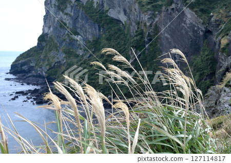 Seongsan Ilchulbong is a famous scenic spot on Jeju Island. Seongsan Ilchulbong is a famous scenic spot on Jeju Island. 127114817