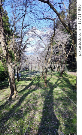 The nature of Kasumigaseki will envelop your soul 127114986