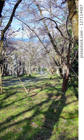 The nature of Kasumigaseki will envelop your soul The nature of Kasumigaseki will envelop your soul 127114987
