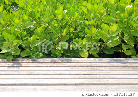 Old wooden chair design for decorating a public park Old wooden chair design for decorating a public park 127115127