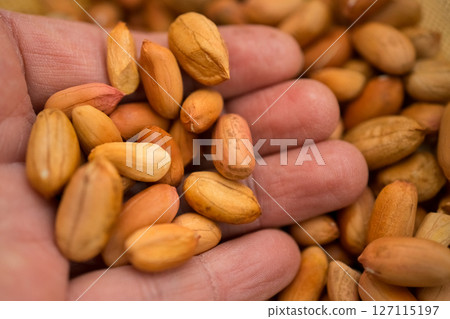 lots of peanuts 127115197