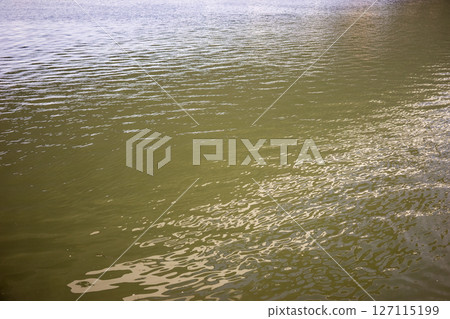 平靜的冬季河面 127115199