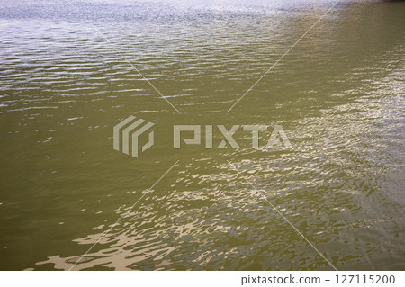 平靜的冬季河面 127115200