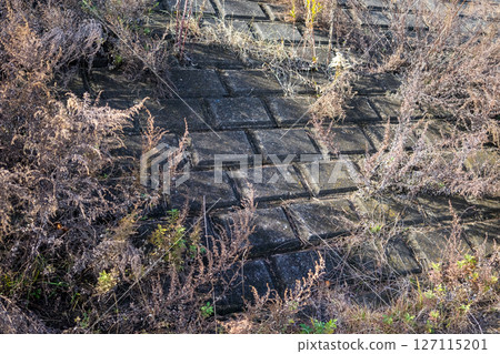 河床上的混凝土塊上長出了雜草 127115201