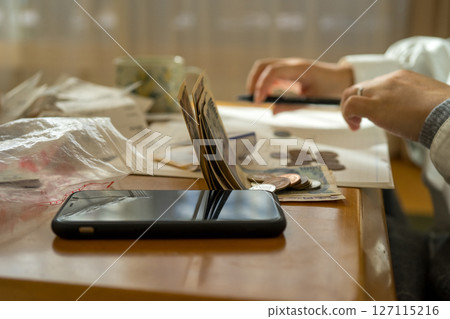 Housewife managing the household finances 127115216