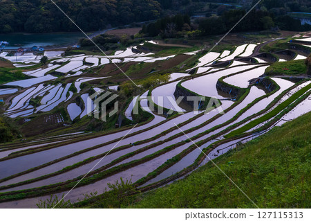 <Saga Prefecture> Rice terraces in Oura and rural scenery overlooking Imari Bay <Saga Prefecture> Rice terraces in Oura and rural scenery overlooking Imari Bay 127115313