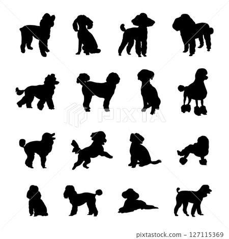 Poodle dog silhouettes, Poodle dog silhouette collection Poodle dog silhouettes, Poodle dog silhouette collection 127115369
