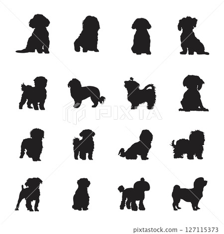 Maltese dog silhouettes Maltese dog silhouettes 127115373