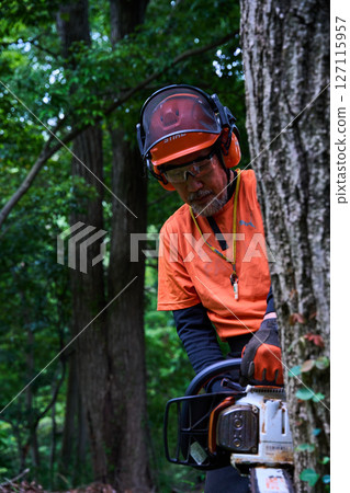 林業、砍伐、工作、高級、鏈鋸 127115957