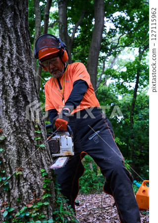 林業、砍伐、工作、高級、鏈鋸 127115962