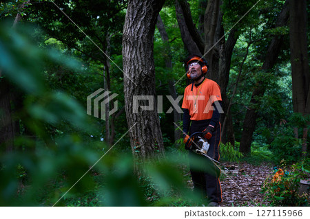 林業、砍伐、工作、高級、鏈鋸 127115966