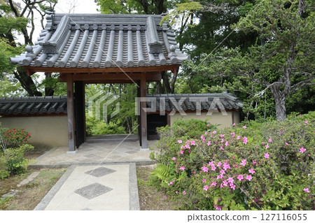 大阪府茨城縣大文字寺境內的風景 127116055