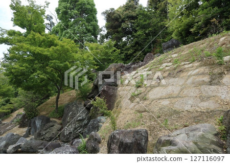 大阪府茨城縣大文字寺境內的風景 127116097
