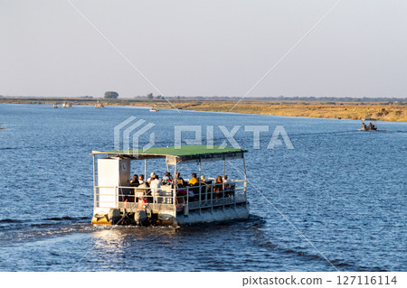 Boat Cruise on the Chobe river 127116114