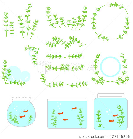 A set of simple line drawings of yellow-green waterweed, Matsumo A set of simple line drawings of yellow-green waterweed, Matsumo 127116206