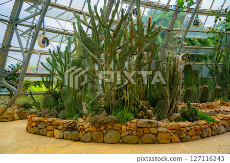 A pavilion with cacti. 127116243