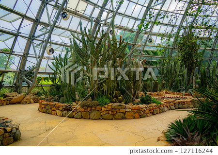 A pavilion with cacti. 127116244