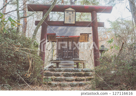 Oyamazumi Shrine in Hakuhosan Park, Fukushima Oyamazumi Shrine in Hakuhosan Park, Fukushima 127116616