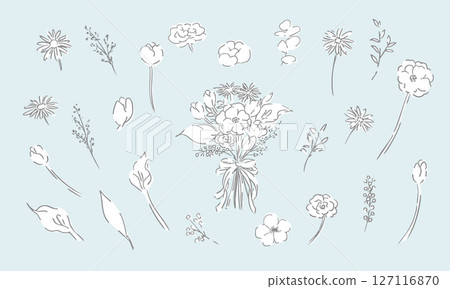 植物的向量線描。植物和花卉的簡單線條描插圖。植物插圖。 127116870