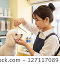 正在梳理毛髮的狗 127117089