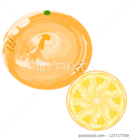 簡單的橘色圖示水彩風格 127117700