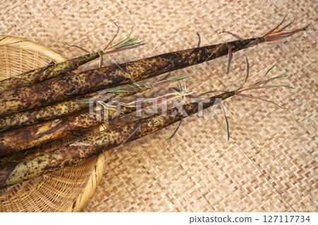 Long and thin bamboo shoots Long and thin bamboo shoots 127117734