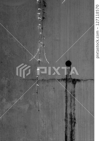 Ivy creeping on an old concrete wall 2 127118570