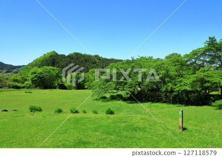 國立飛鳥歷史公園石舞台草坪的新綠 國立飛鳥歷史公園石舞台草坪的新綠 127118579
