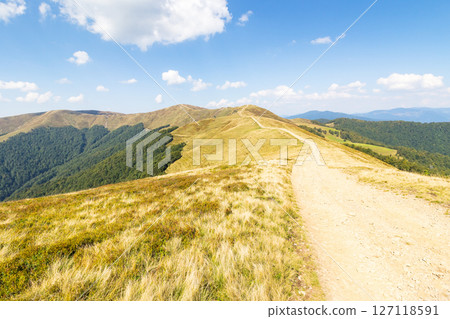 dirt road in carpathian mountains. krasna ridge in summer dirt road in carpathian mountains. krasna ridge in summer 127118591