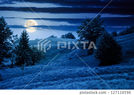 beech forest on the grassy hill at night. alpine scenery with trees in lush leaves. primeval woods in full moon light. dark clouds on the sky 127118598
