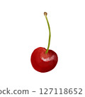 Cherries drawn in oil painting style 2 127118652