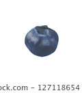Illustration of blueberries in oil painting style 3 127118654