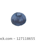 Illustration 2 of blueberries drawn in oil painting style 127118655