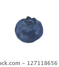 Illustration of blueberries in oil painting style 1 127118656