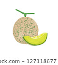 Illustration of a whole melon and cut melon in an oil painting style 127118677