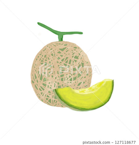 油畫風格的整個甜瓜和切開的甜瓜插圖 127118677