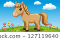 Cute horse illustration 127119640