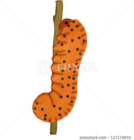 worm 127119650