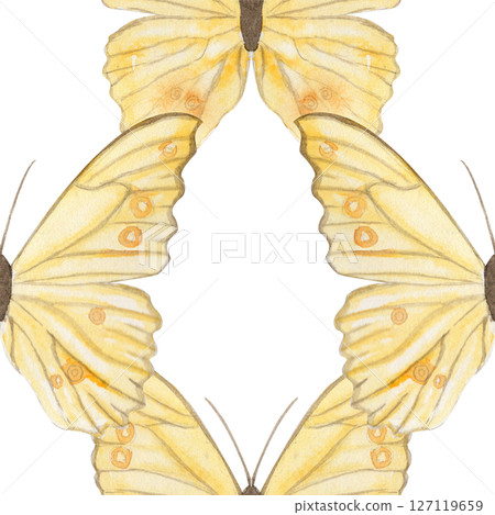 Yellow butterflies, delicate watercolor seamless pattern isolated on white. Ideal for textile design, wrapping paper, branding, eco packaging, stationery, wedding decor, digital projects. Hand painted Yellow butterflies, delicate watercolor seamless pattern isolated on white. Ideal for textile design, wrapping paper, branding, eco packaging, stationery, wedding decor, digital projects. Hand painted 127119659