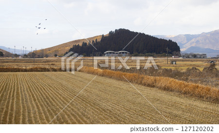 farm near aso city in autumn. Aso Caldera is one of the largest calderas in the world which also provide the rich Volcanic mud for farming farm near aso city in autumn. Aso Caldera is one of the largest calderas in the world which also provide the rich Volcanic mud for farming 127120202