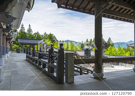 Echizen Daibutsu 127120790