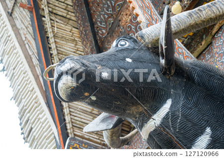 Carved buffalo head on Toraja house, Sulawesi, Indonesia Carved buffalo head on Toraja house, Sulawesi, Indonesia 127120966