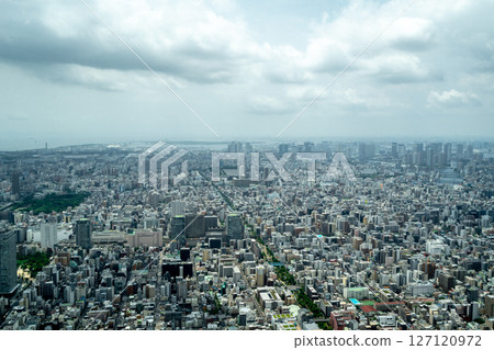 Aerial view of central Tokyo cityscape in Japan Aerial view of central Tokyo cityscape in Japan 127120972